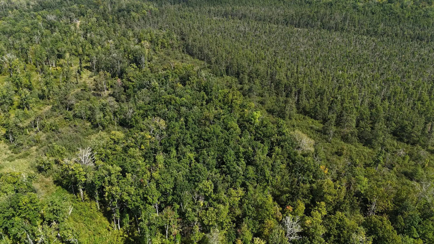 TBD Rainbow Trout Trail , Sandstone, MN 55072