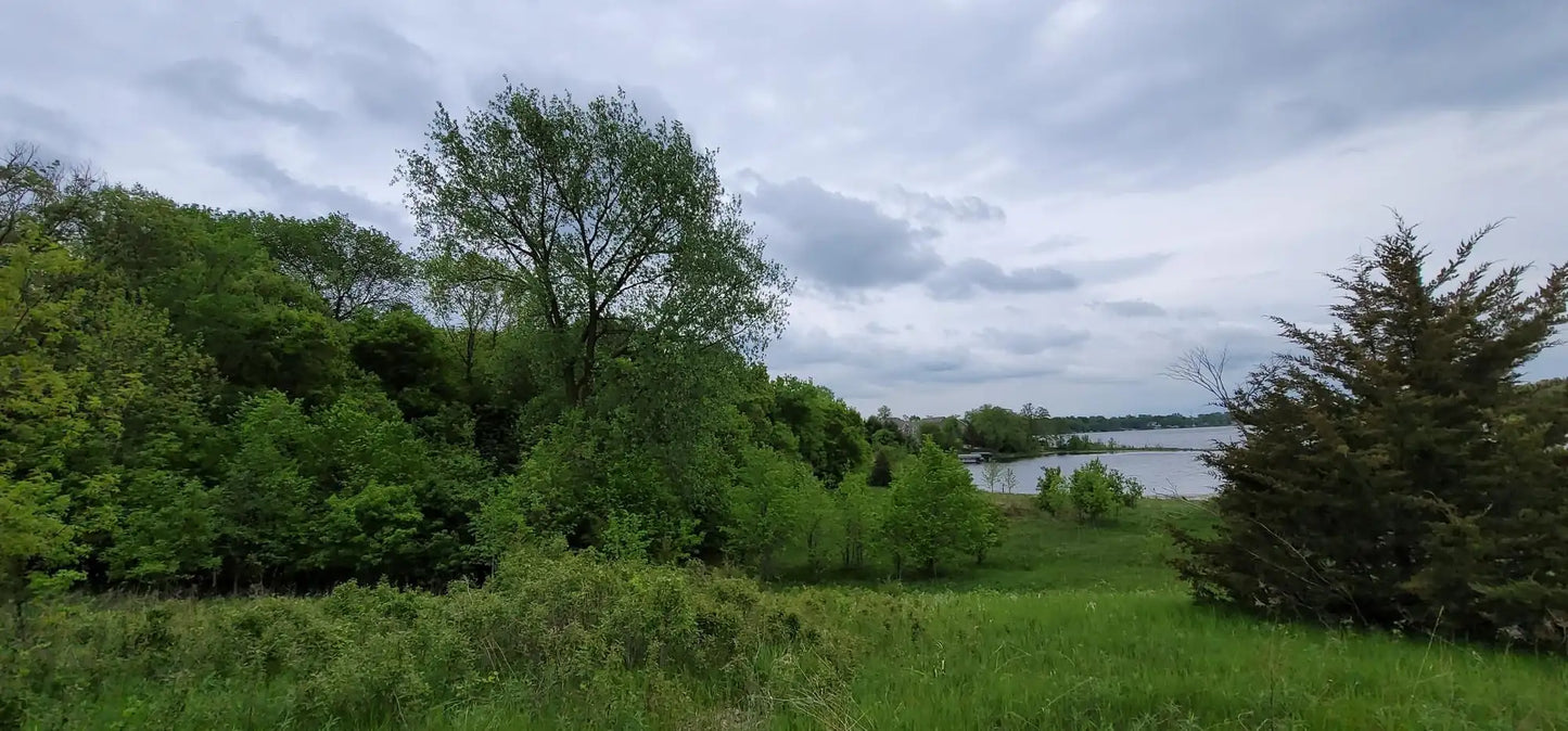 316xx Lot 1 Maria Avenue, Lindstrom, MN 55045