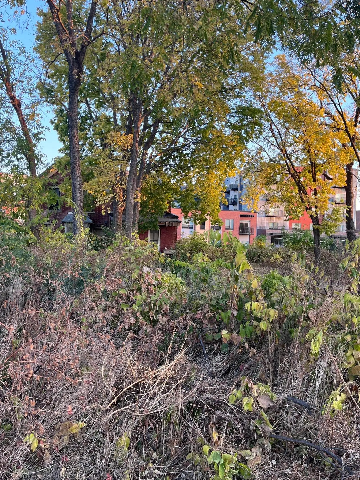 324 1st Avenue, Shakopee, MN 55379